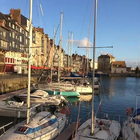 Jasmine * Honfleur